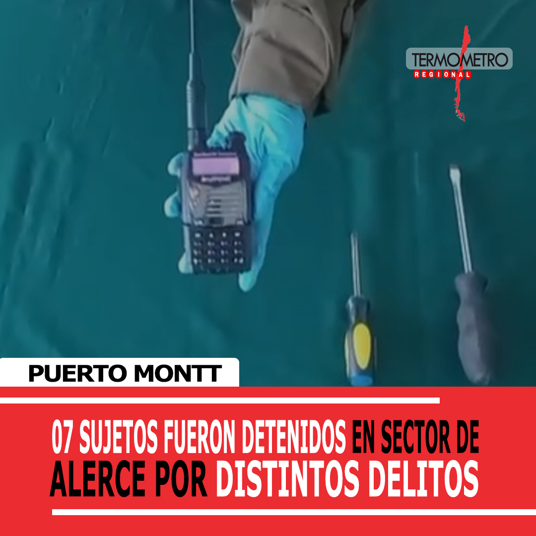 ​Carabineros de Alerce logra la detención de 7 sujetos por diferentes delitos en patrullajes preventivos