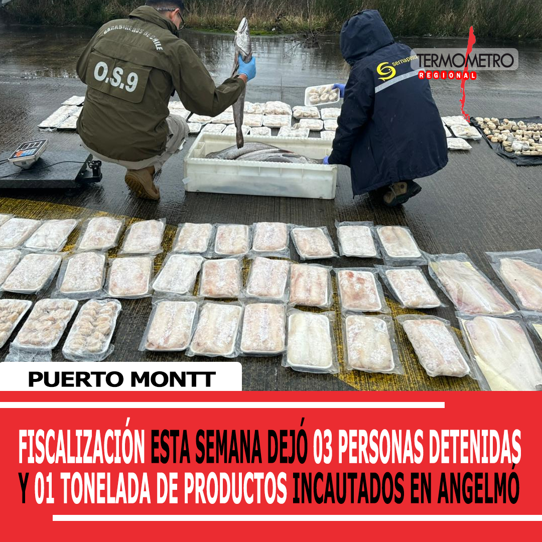 Puerto Montt: Fiscalización en Angelmó dejó tres detenidos y más de una tonelada de recursos marinos incautados