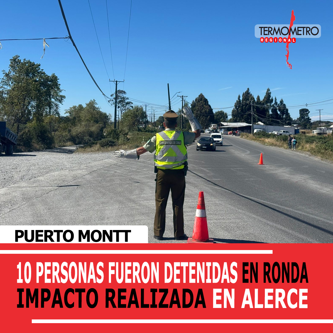Alerce: Carabineros detuvo a 10 personas en ronda impacto durante esta semana