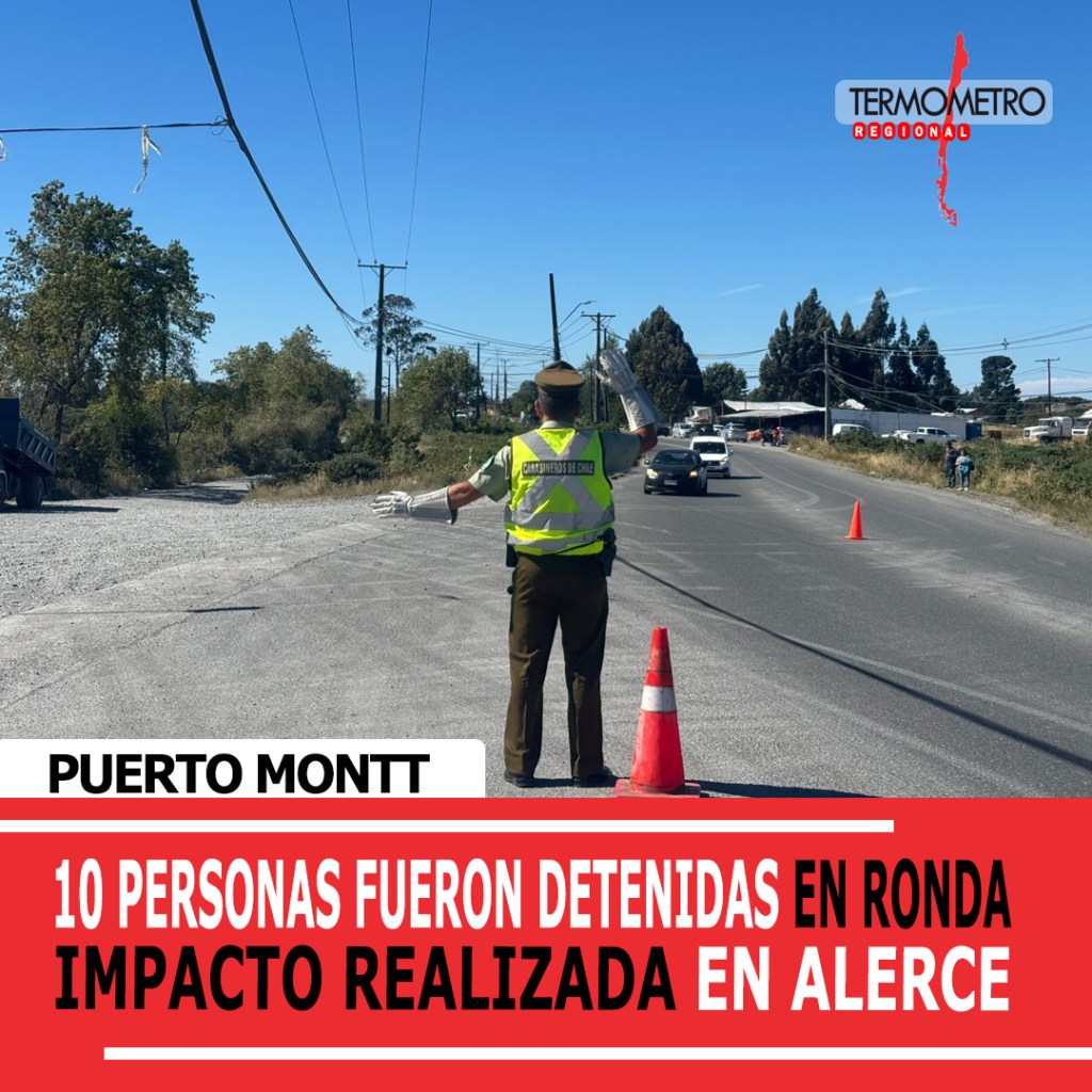 Alerce: Carabineros detuvo a 10 personas en ronda impacto durante esta&nbsp;semana