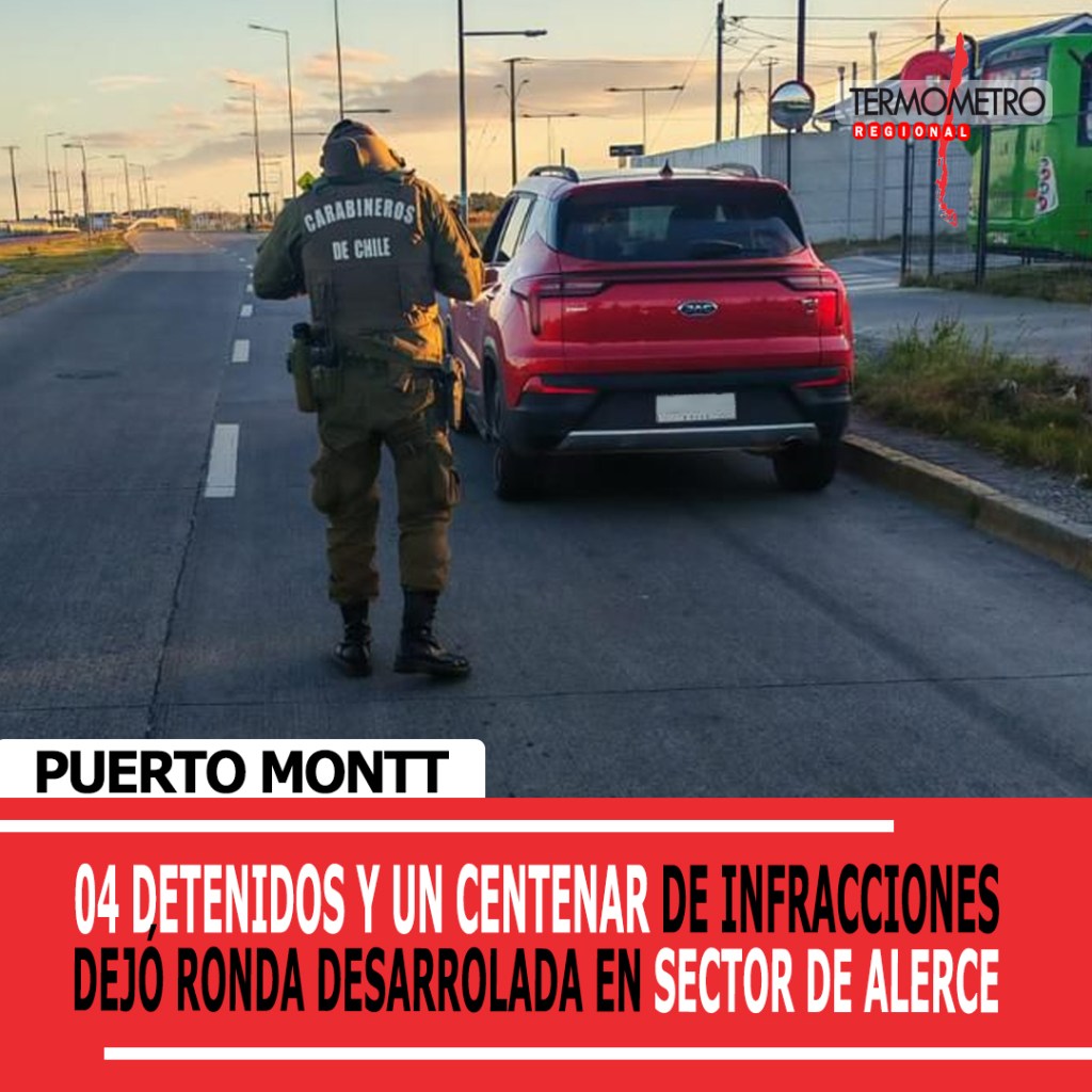 Puerto Montt: 4 detenidos y un centenar de infracciones en ronda desarrollada en&nbsp;Alerce