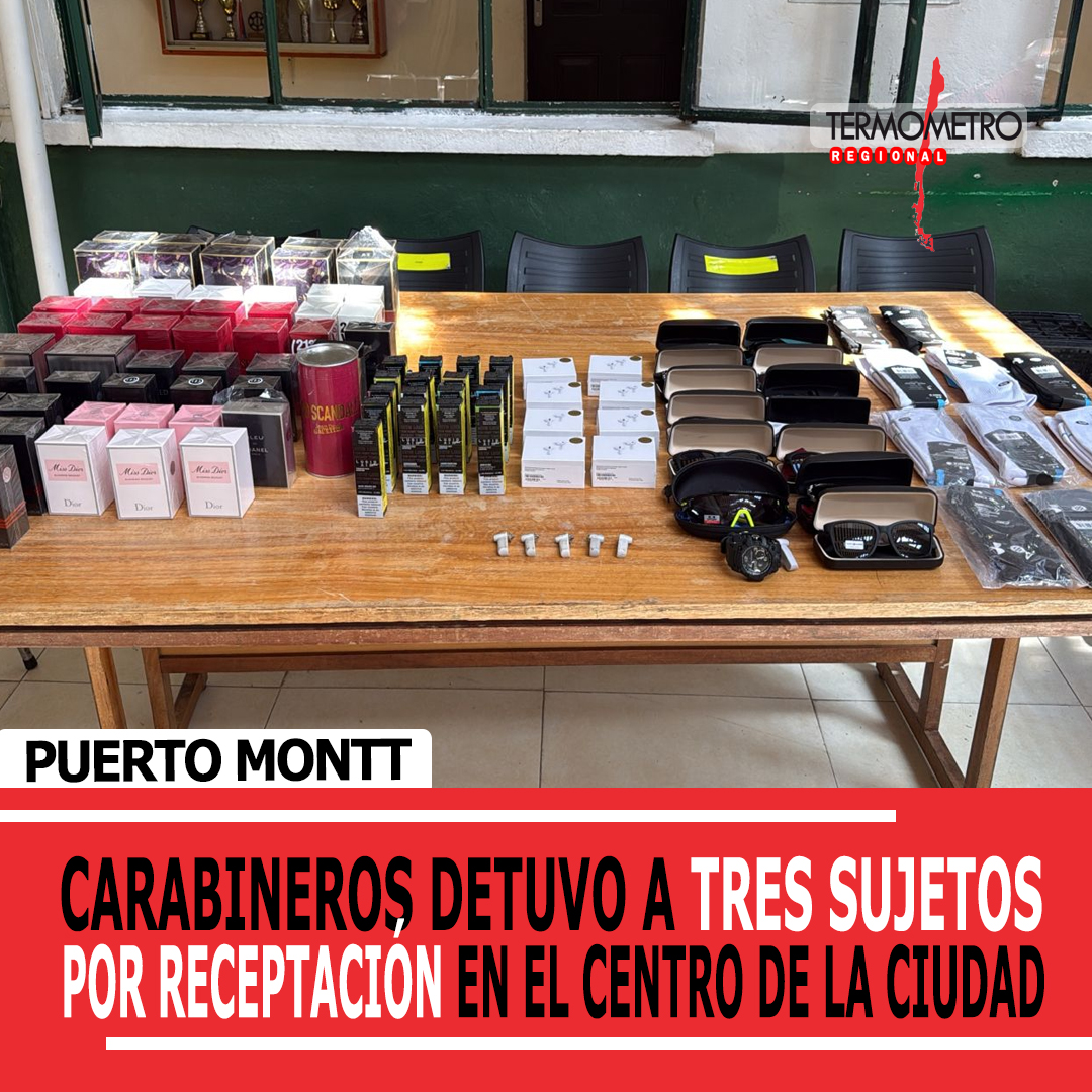 Puerto Montt: Carabineros pondrá ante tribunal a detenidos por receptación
