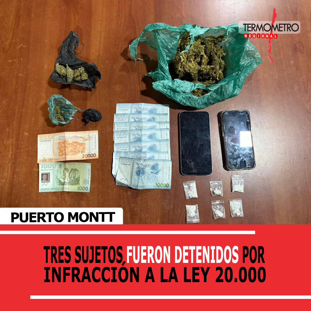 Puerto Montt: Carabineros detiene a tres sujetos por infracción a la Ley 20.000