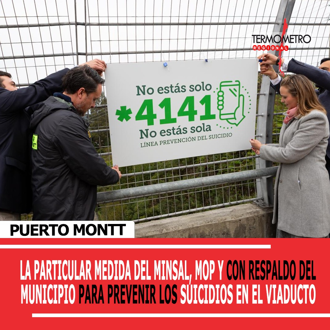 Puerto Montt: La particular medida del Minsal, el MOP y con el respaldo del municipio para prevenir los suicidios en el viaducto